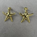 ZARCILLOS DE ESTRELLA DE MAR