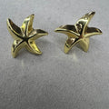 ZARCILLOS DE ESTRELLA