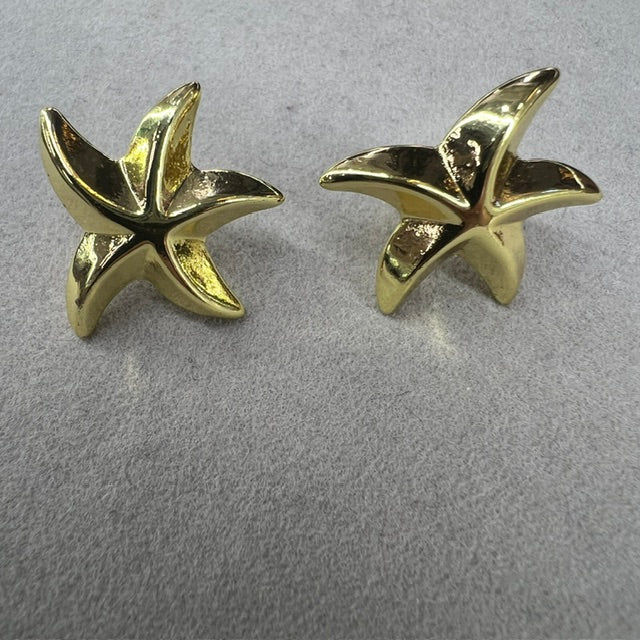 ZARCILLOS DE ESTRELLA